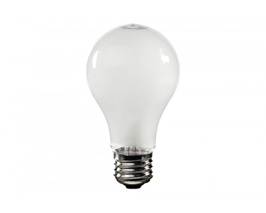 Renwil - Galley Light Bulbs Set Of 3