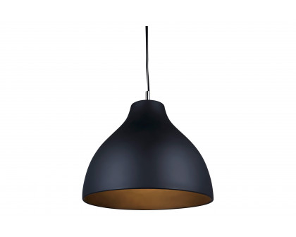 Renwil™ Chantal Pendant Lighting - Black