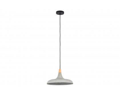 Renwil™ - Viola-May Pendant Lighting