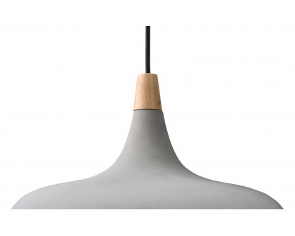 Renwil™ - Viola-May Pendant Lighting