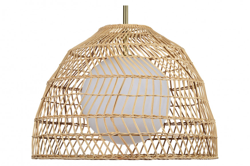 Renwil™ - Palm Pendant Lighting