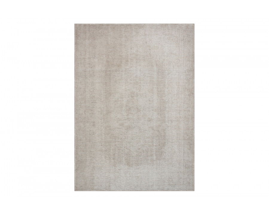 Renwil Fallon 20213 Rug - Distressed Greige, 5,3" X 7,3"