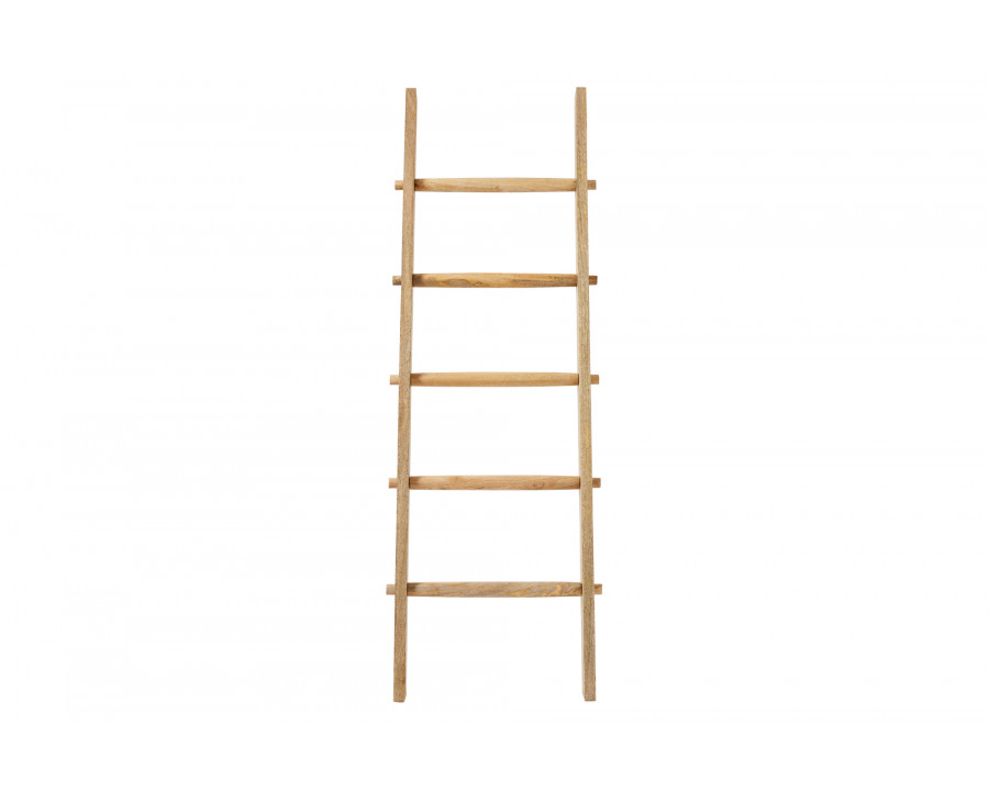 Renwil - Archie Decorative Ladder