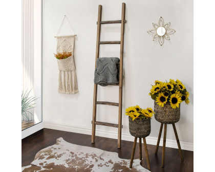 Sagebrook 76" Wooden Decorative Ladder - Brown