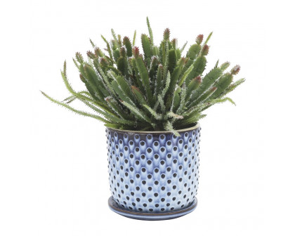 Sagebrook 6" Ceramic Dotted Planter With Saucer - Blue