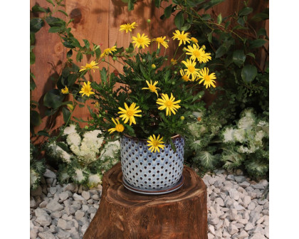 Sagebrook 6" Ceramic Dotted Planter With Saucer - Blue