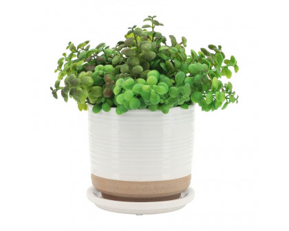 Sagebrook - 5"/6" Ceramic Planters With Saucer (Set Of 2) in White