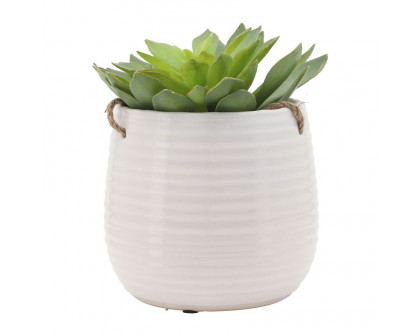 Sagebrook 6" Hanging Planter - White