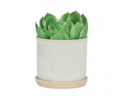 Sagebrook 6"/8" Ceramic Planters With Saucer (Set Of 2) - Beige