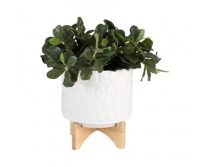 Sagebrook™ 8" Ceramic Planter On Wooden Stand - White