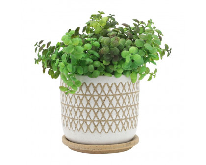 Sagebrook 5"/6" Criss/Cross Planters With Saucer (Set Of 2) - Beige