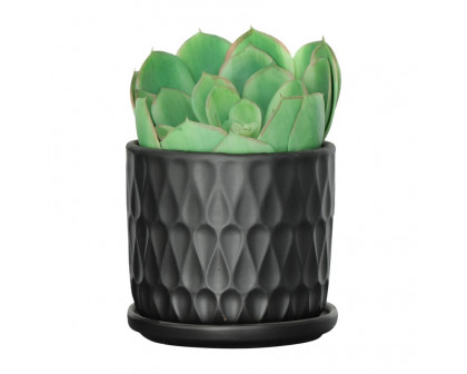 Sagebrook 6" Teardrop Planters with Saucer (Set Of 2) - Black