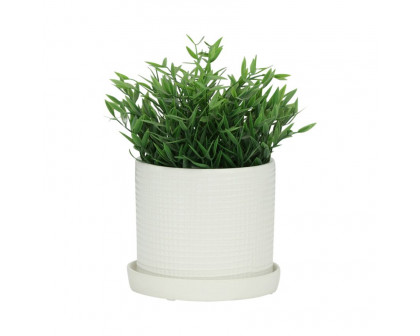 Sagebrook 6"/8" Weave Planters With Saucer (Set Of 2) - White