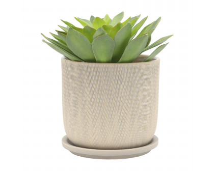 Sagebrook™ 6" Mesh Planter with Saucer (Set Of 2) - Sage