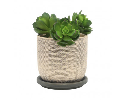 Sagebrook 6" Mesh Planters with Saucer (Set Of 2) - Gray