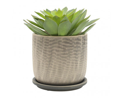 Sagebrook 6" Mesh Planters with Saucer (Set Of 2) - Gray