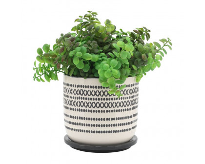 Sagebrook 5"/6" Ceramic Planters With Saucer (Set Of 2) - Black