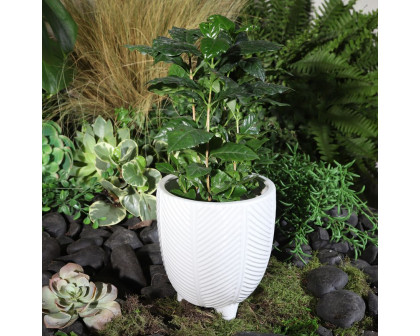 Sagebrook 6" Dia Porcelain Footed Planter - White