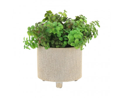 Sagebrook™ 6"/8" Footed Scratched Ceramic Planters (Set Of 2) - Champagne