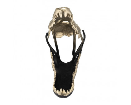 Sagebrook 16" Metal Alligator Skull - Gold/Black