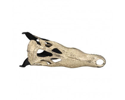 Sagebrook 16" Metal Alligator Skull - Gold/Black