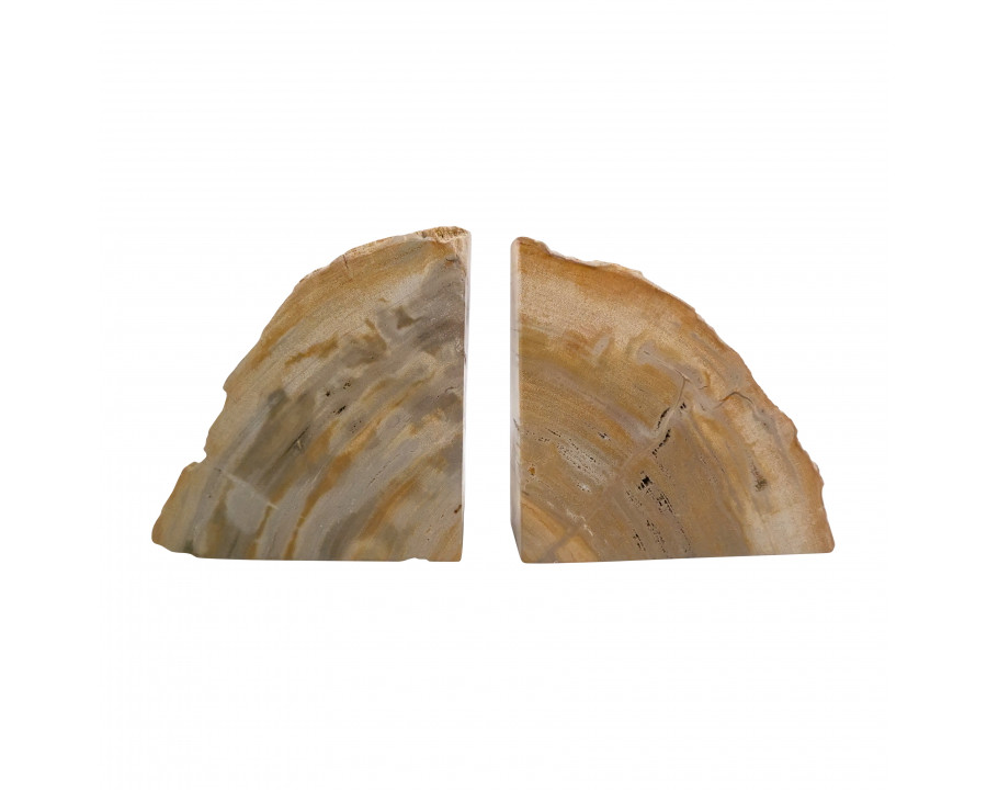 Sagebrook - 5" Petrified Wood Natural Bookends (Set Of 2) in Light Ivory