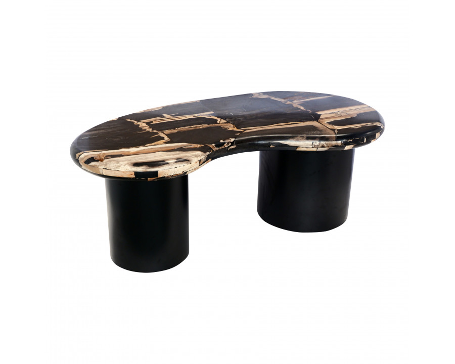 Sagebrook - 51" Petrified Wood Kidney Coffee Table in Black