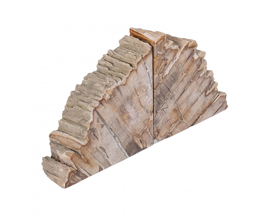 Sagebrook - 6" Petrified Wood Bookends in Natural