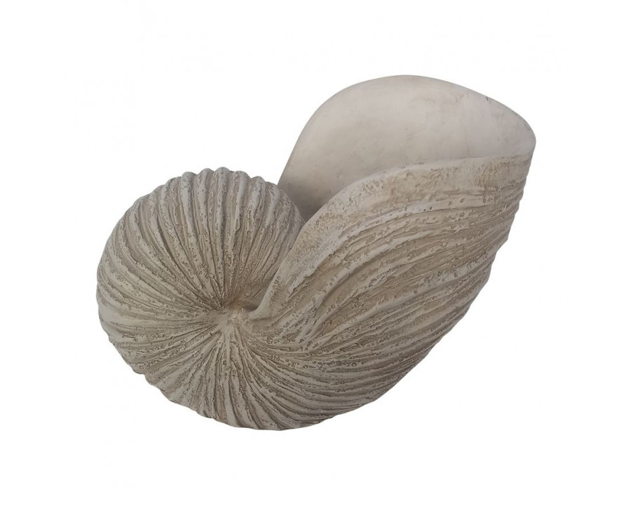 Sagebrook - 14" Shell Sculpture in Ivory