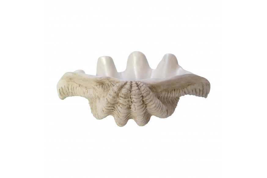 Sagebrook™ 16" Pearlized Clam Shell Bowl - Ivory