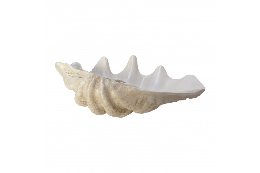 Sagebrook™ 25" Pearlized Clam Shell Bowl - Ivory