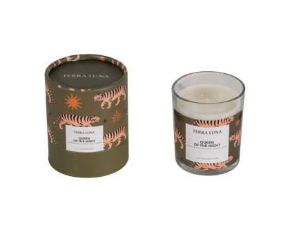 Sagebrook 4" 7 Oz Tiger Boxed Candle