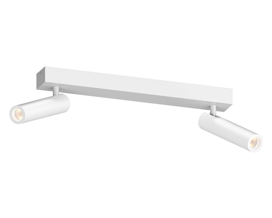 Sonneman - Haim Aimable Double Surface Mount