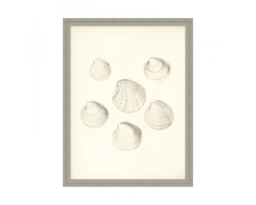 Theodore Alexander - Shore's Treasure I Wall Art