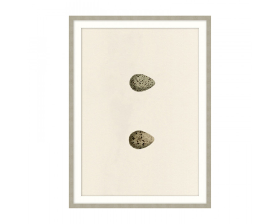 Theodore Alexander - Unhatched I Wall Art