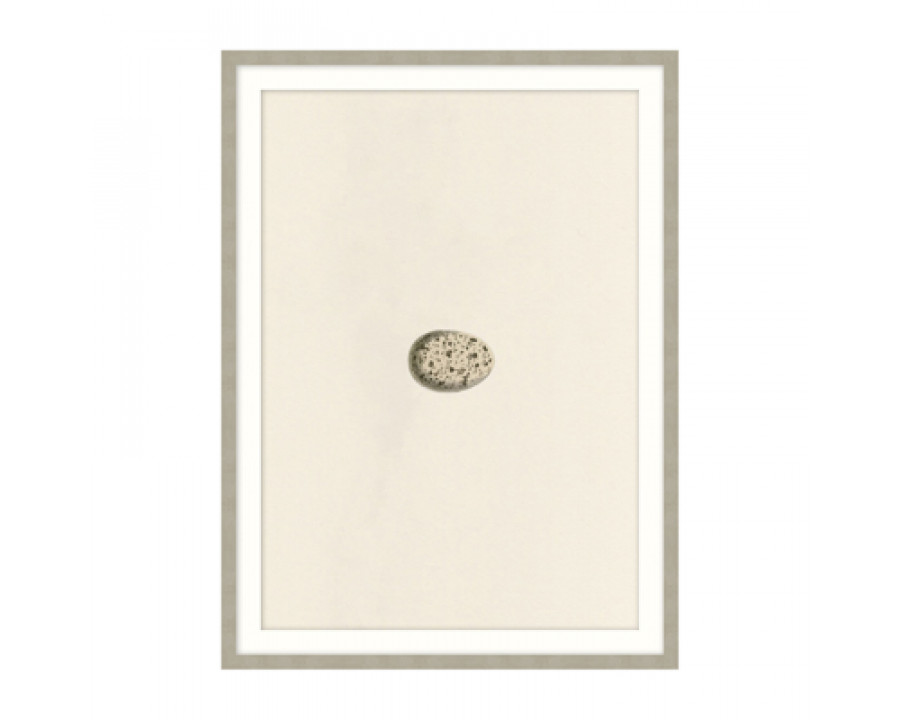 Theodore Alexander - Unhatched 3 Wall Art