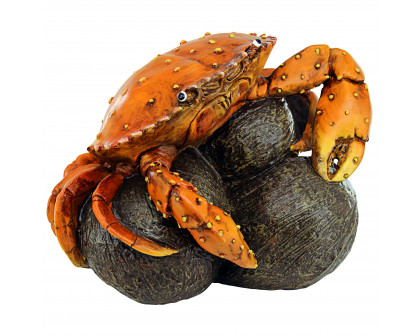 Toscano - Coastal Crab Hard Nut to Crack Garden Statue