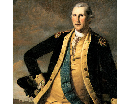 Toscano George Washington Battle of Princeton Framed Canvas Replica Painting - Medium