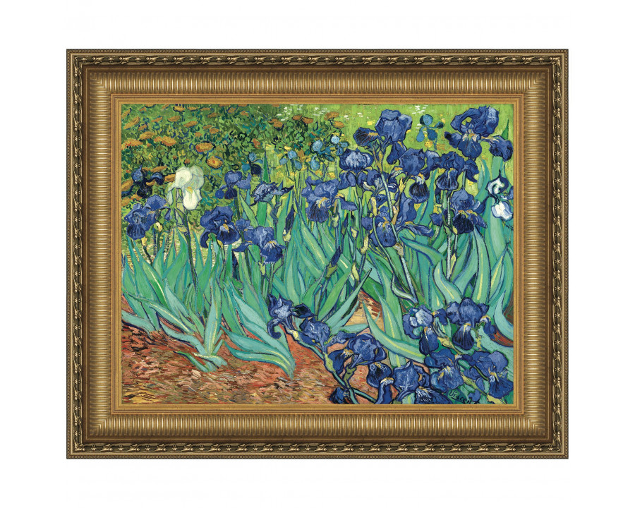 Toscano Irises Framed Canvas Replica Painting - Small