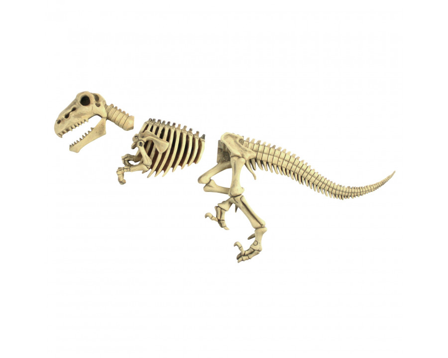 Toscano - Raptor Dinosaur Skeleton Fossil Garden Statue