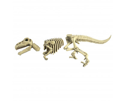 Toscano - Raptor Dinosaur Skeleton Fossil Garden Statue