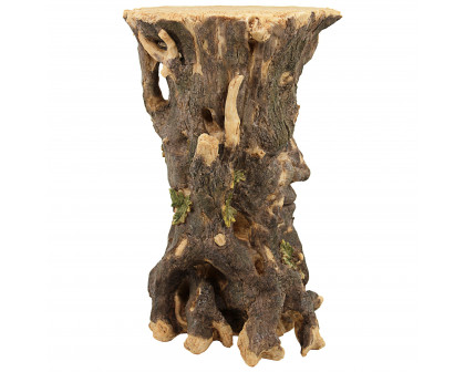 Toscano - Craggy Bark Tree Ent Sculptural Side Table