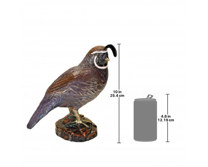 Toscano - Color-Washed Male California Quail Garden Statue