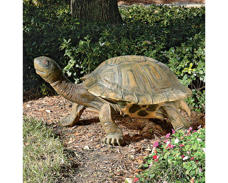 Toscano The Tranquil Tortoise Giant Garden Statue