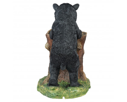 Toscano - Guzzling Gulp Black Bear Garden Fountain