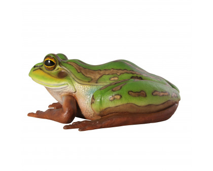 Toscano - The Pine Barrens Giant Garden Tree Frog Statue