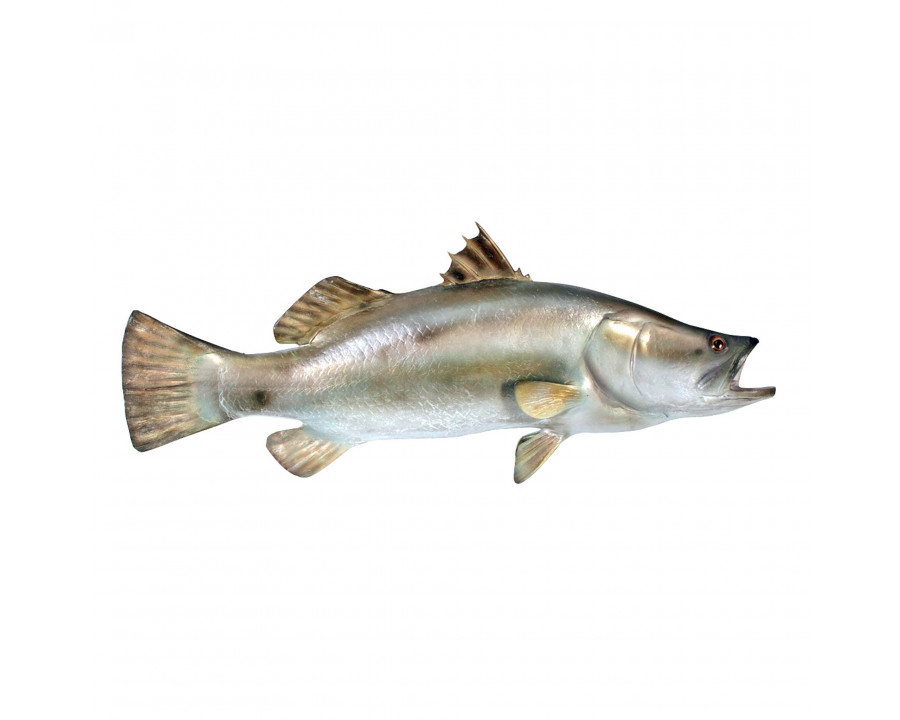 Toscano - Barramundi Wall Mount Trophy Sculpture