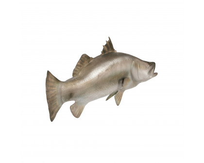 Toscano - Barramundi Wall Mount Trophy Sculpture