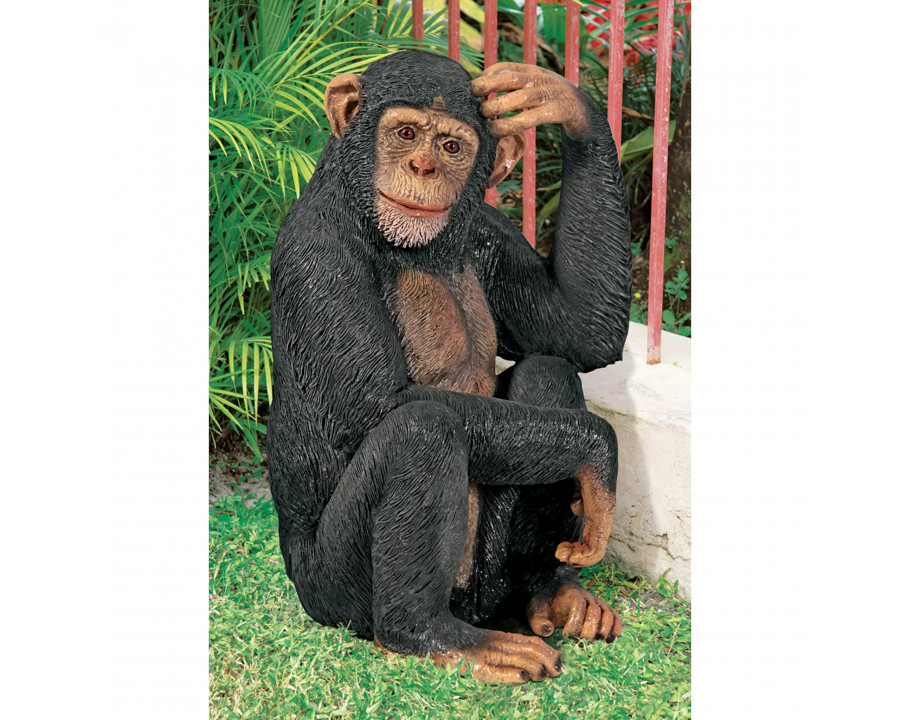 Toscano - Chauncey the Confused Chimp Garden Monkey Statue