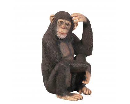 Toscano - Chauncey the Confused Chimp Garden Monkey Statue